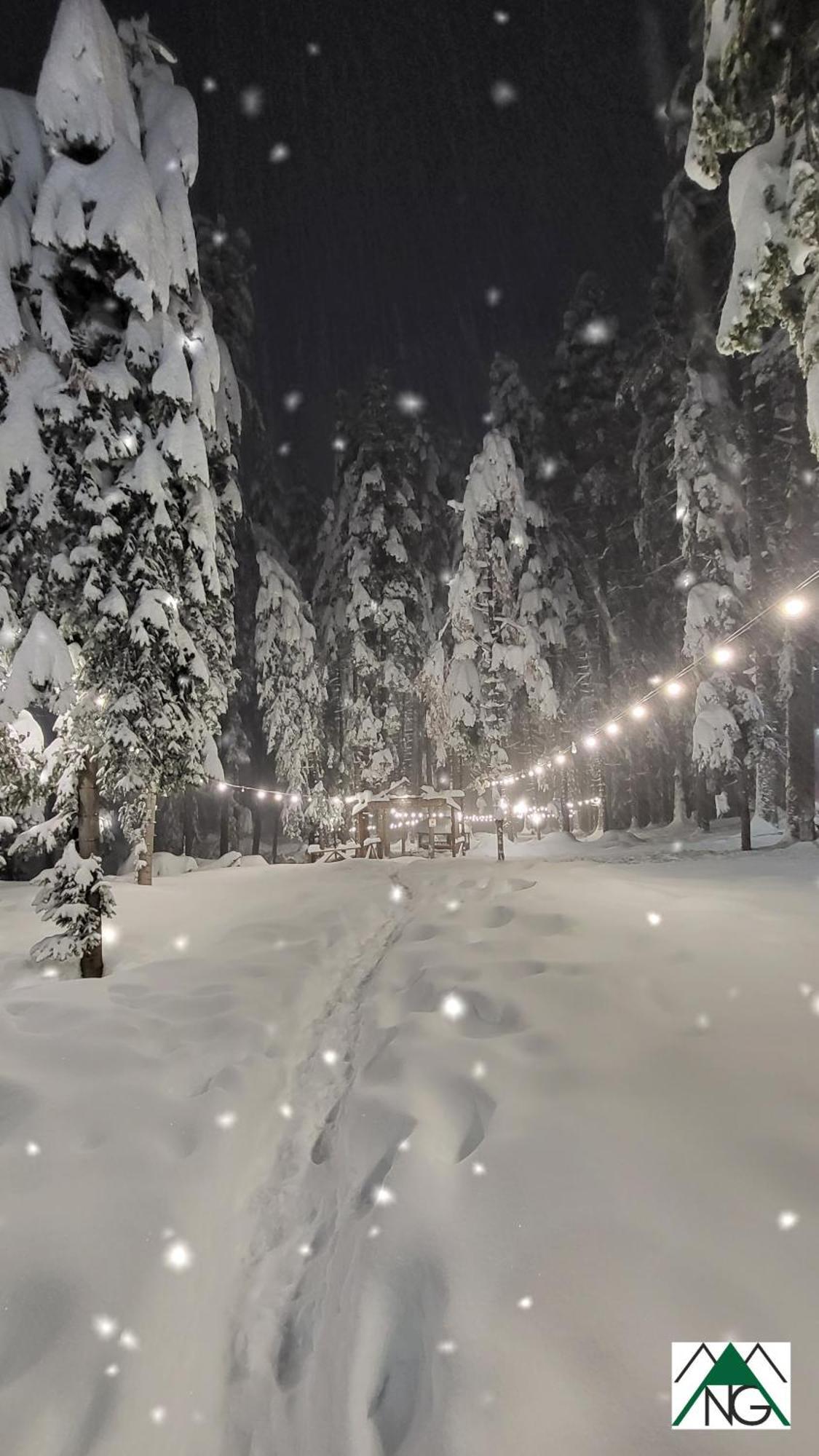Pinewood Ang Luxurious Apartment A32 Borovets Dış mekan fotoğraf